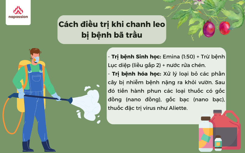 cach tri benh ba trau tren chanh day
