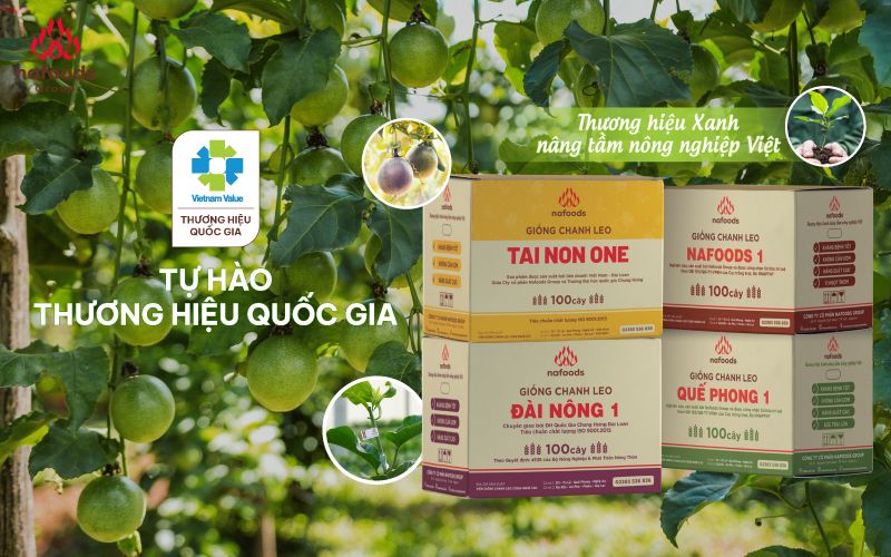 Sản phẩm cây giống chanh leo nafoods đạt giải thương hiệu quốc gia 2024