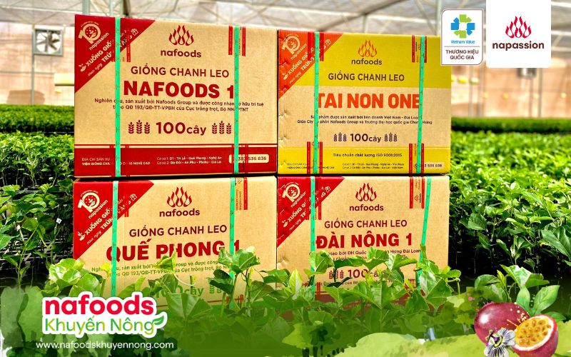 sản phẩm cây giống chanh leo nafoods