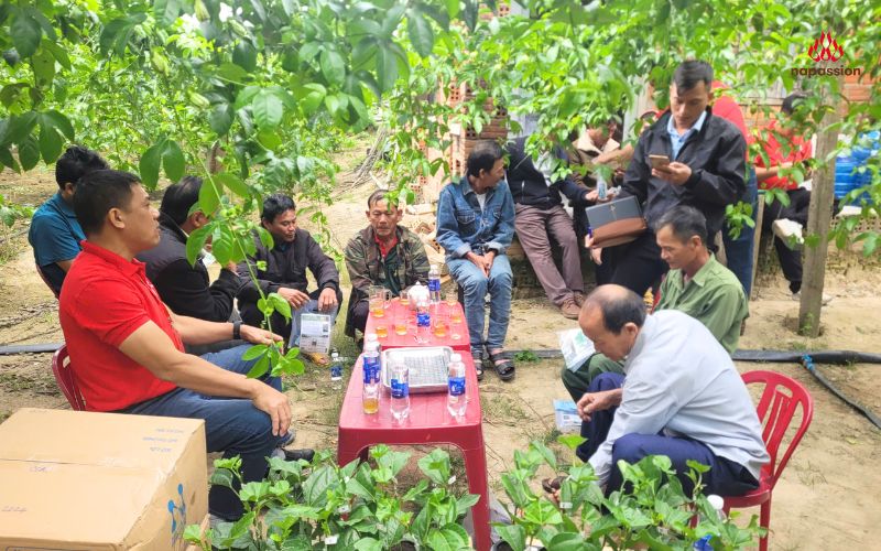 hội thảo đầu bờ tại xuân an được diễn ra tại vườn chanh leo của bà con nông dân