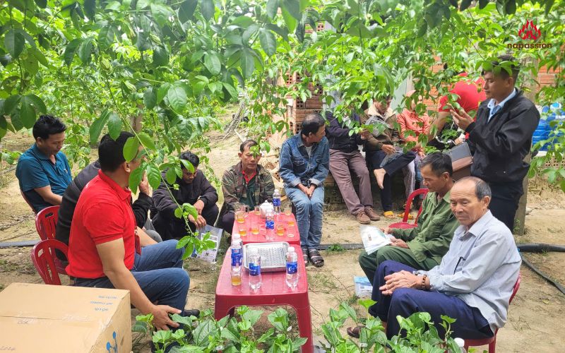 hội thảo tập huấn được tổ chức tại vườn chanh leo của hộ nông dân