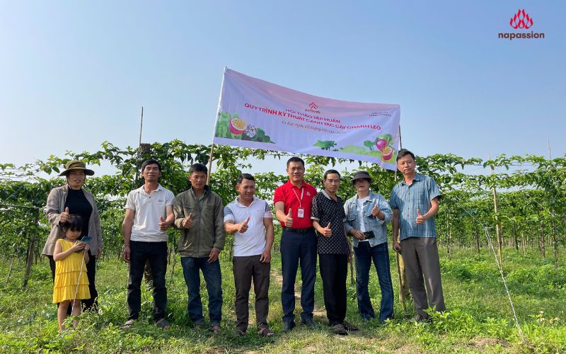 hội thảo tập huấn kỹ thuật canh tác chanh leo htx hùng kim sơn