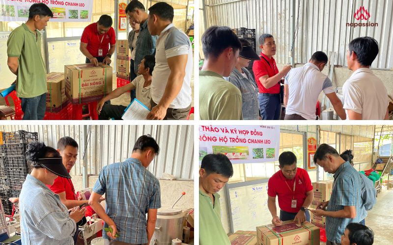 nafoods đồng hành cùng nông dân và đối tác trong chuỗi liên kết sản xuất
