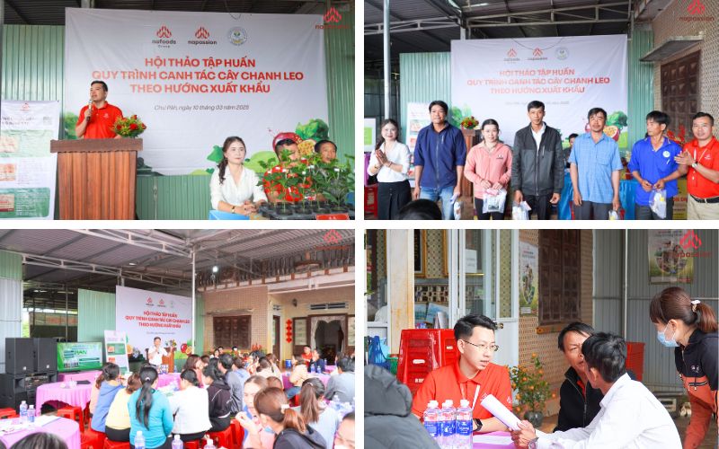 Nafoods phối hợp cùng HTX Vũ Nam Ia Nhin tổ chức hội thảo canh tác chanh leo xuất khẩu