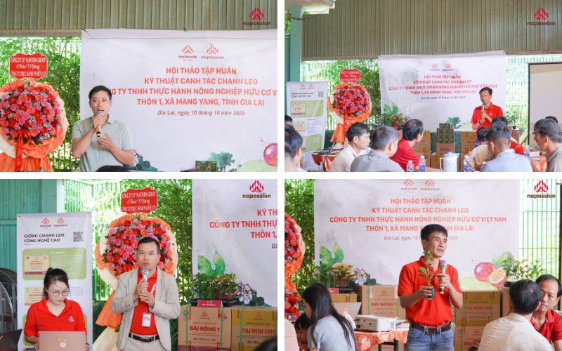 Đại diện nafoods chia sẻ tại hội thảo