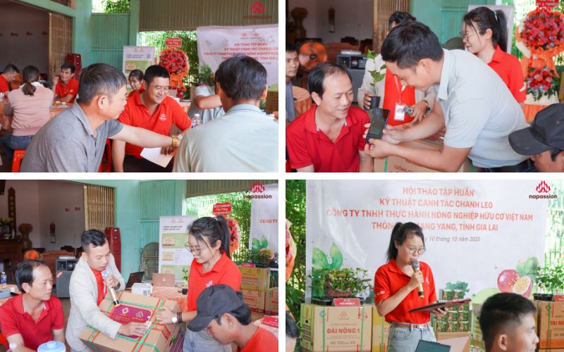 nafoods giới thiệu quy trình canh tác hữu cơ cho bà con nông hộ
