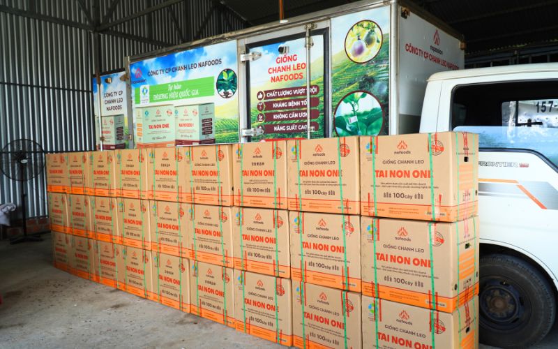 cây giống chanh leo nafoods hỗ trợ cho bà con
