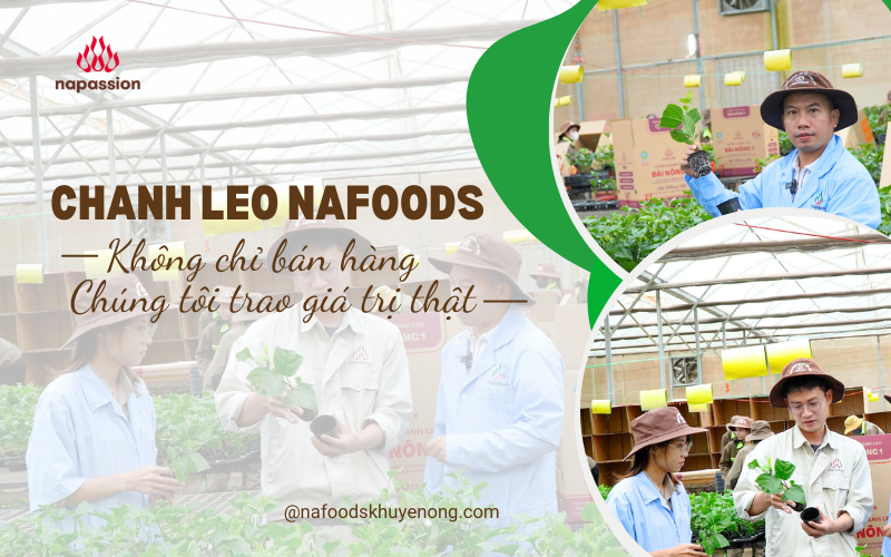 chanh leo nafoods bán hàng trao giá trị thật