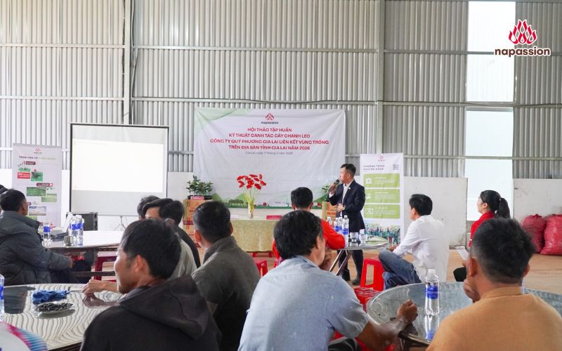 Hội thảo tập huấn canh tác cây chanh leo giữa nafoods và công ty quý phương