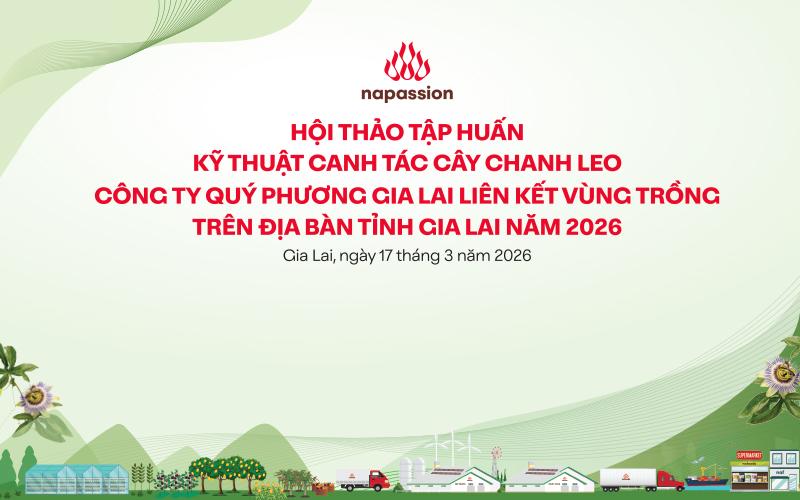 Hội thảo tập huấn kỹ thuật canh tác cây chanh leo công ty quý phương gia lai