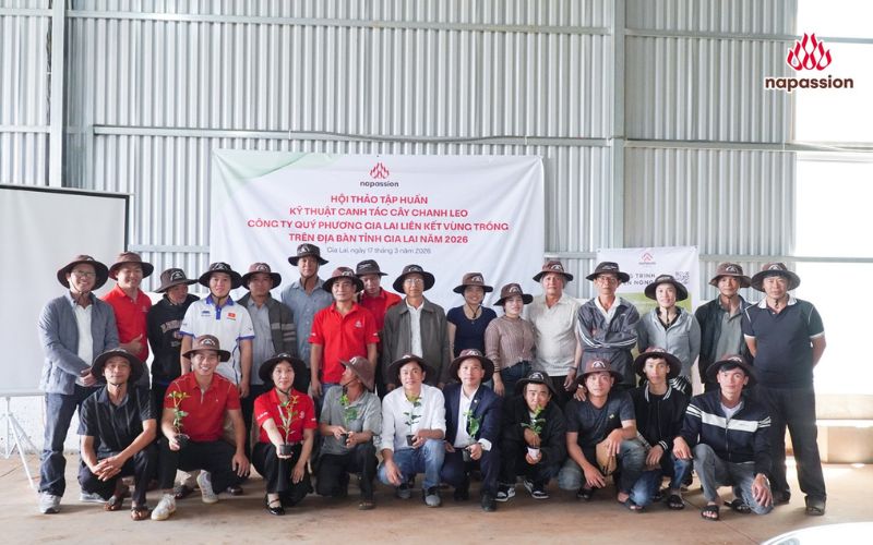 Hội thảo tập huấn kỹ thuật canh tác cây chanh leo công ty Quý Phương